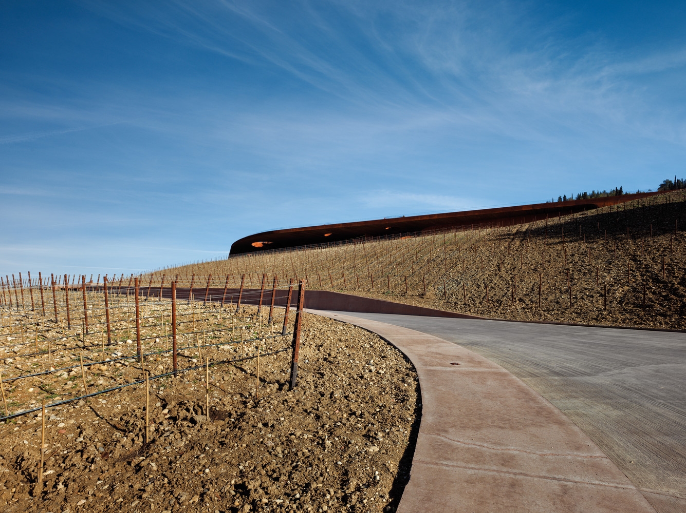 Sannini - Проект - Виноробня Cantina Antinori